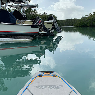 Hobie kayak flowing in front of crocodile.