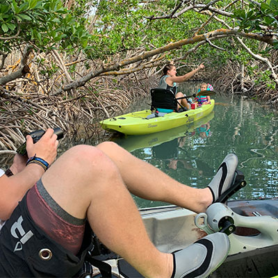 Hobie kayak flowing in front of crocodile.